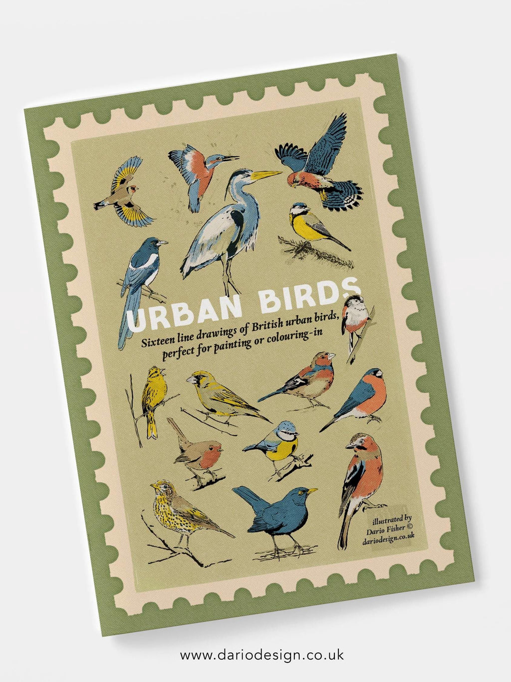 Urban Birds - illustrated book for colouring-in or painting