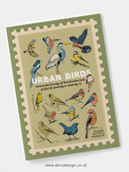 Urban Birds - illustrated book for colouring-in or painting