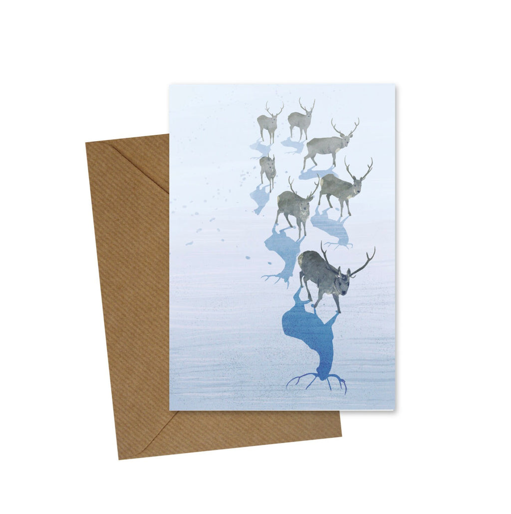 Reindeer greeting card