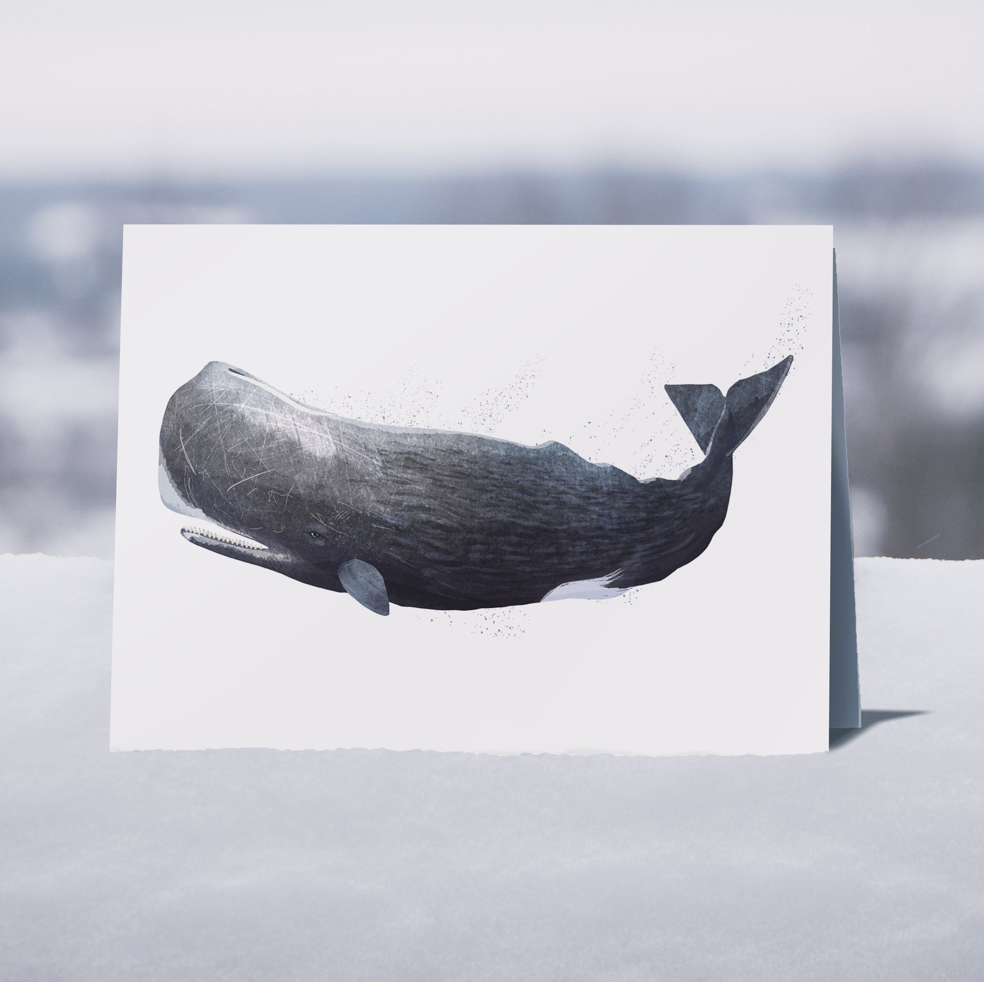 Whales - 6 x Greetings cards