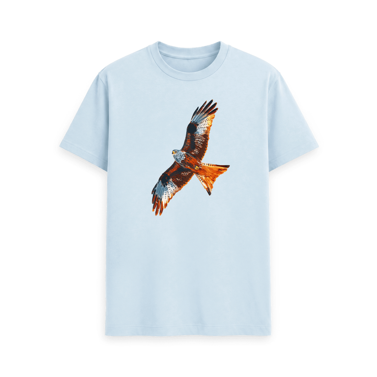 Sky Blue Printed T-shirt Front