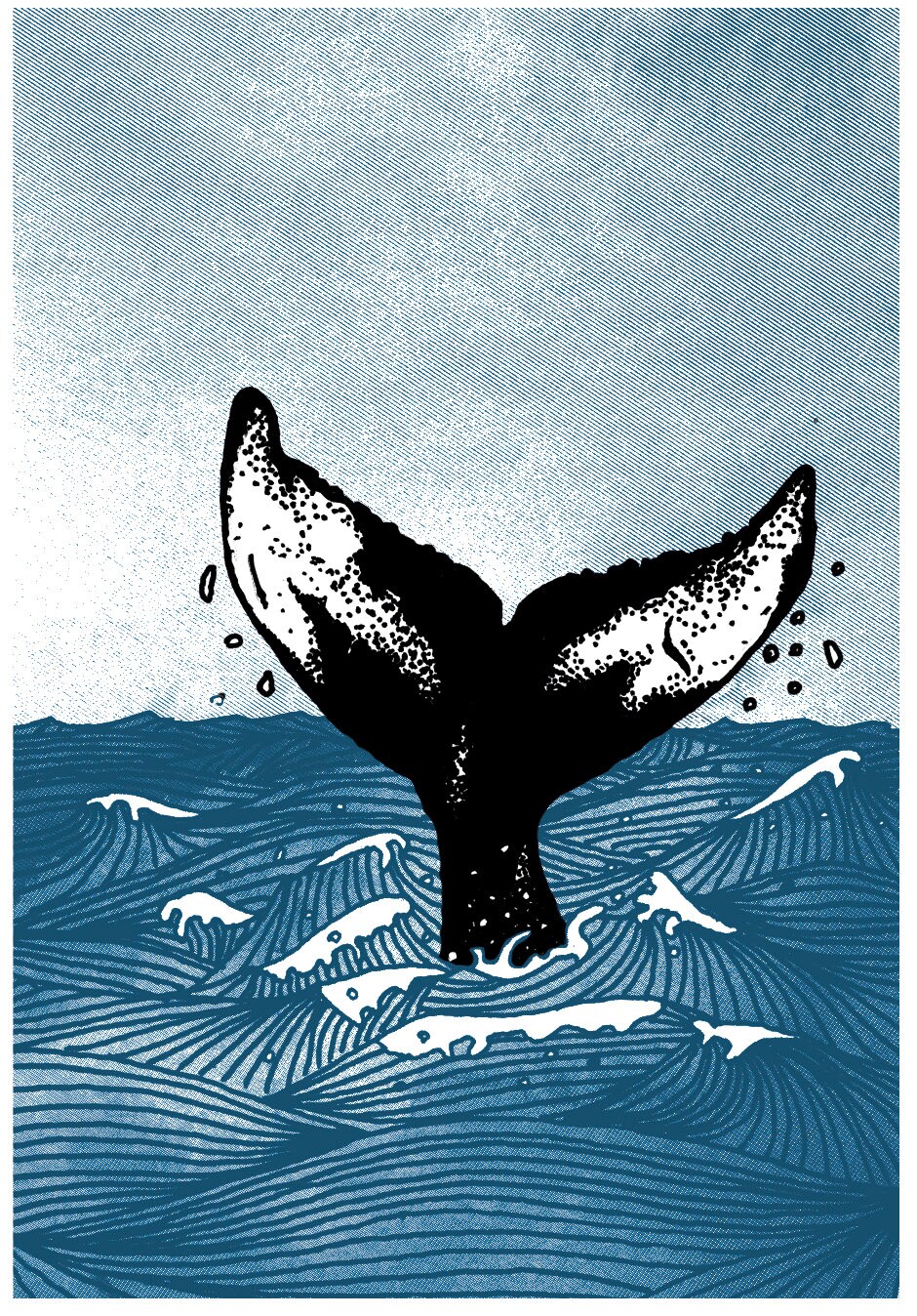 Humpback Whale Tail - A3 Limited Edition Humpback Whale Screen Print