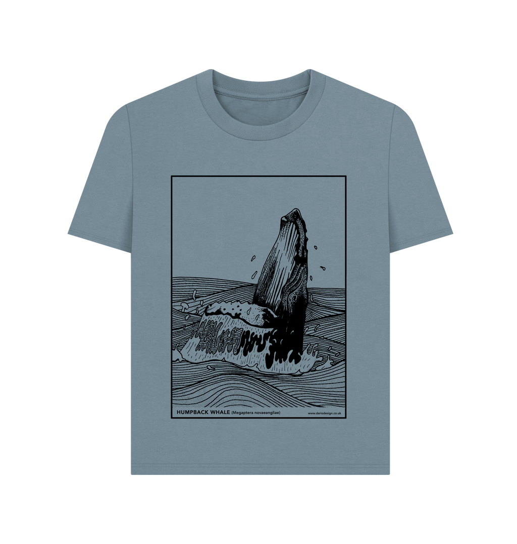 Stone Blue Printed T-shirt Front