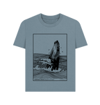 Stone Blue Printed T-shirt Front