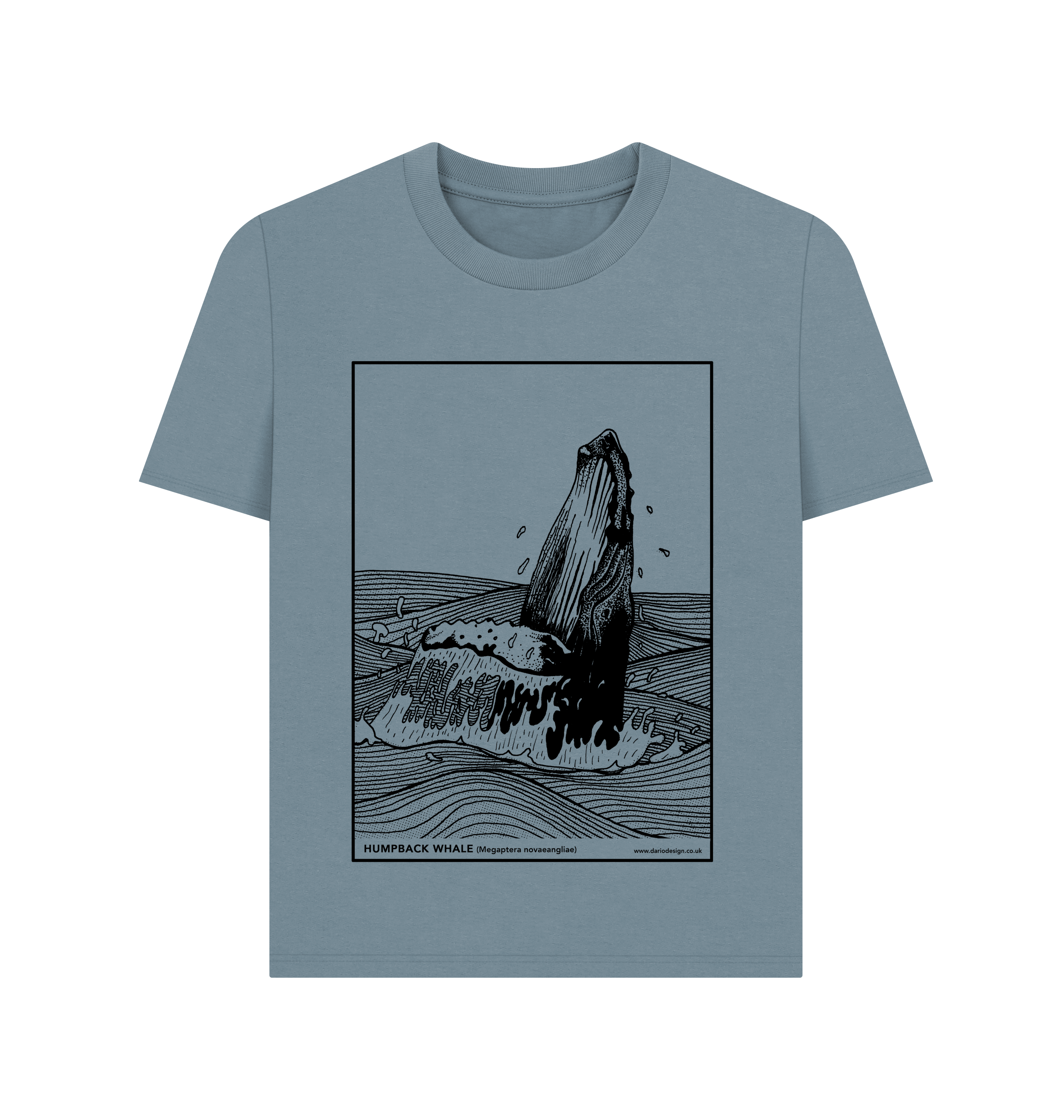 Stone Blue Printed T-shirt Front