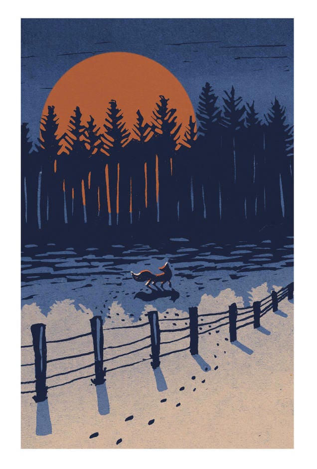 Fox and Big Winter Moon