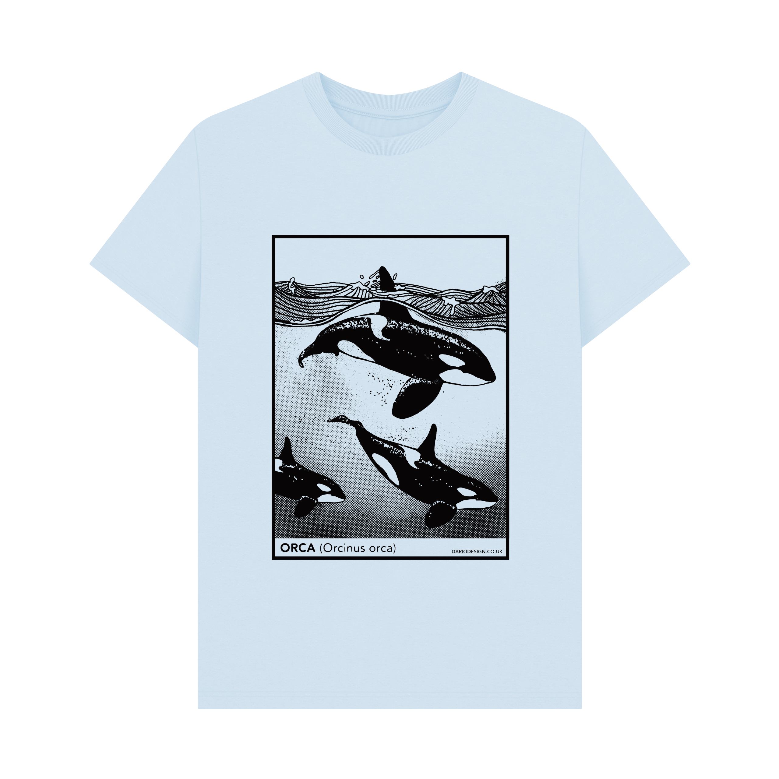 Sky Blue Printed T-shirt Front