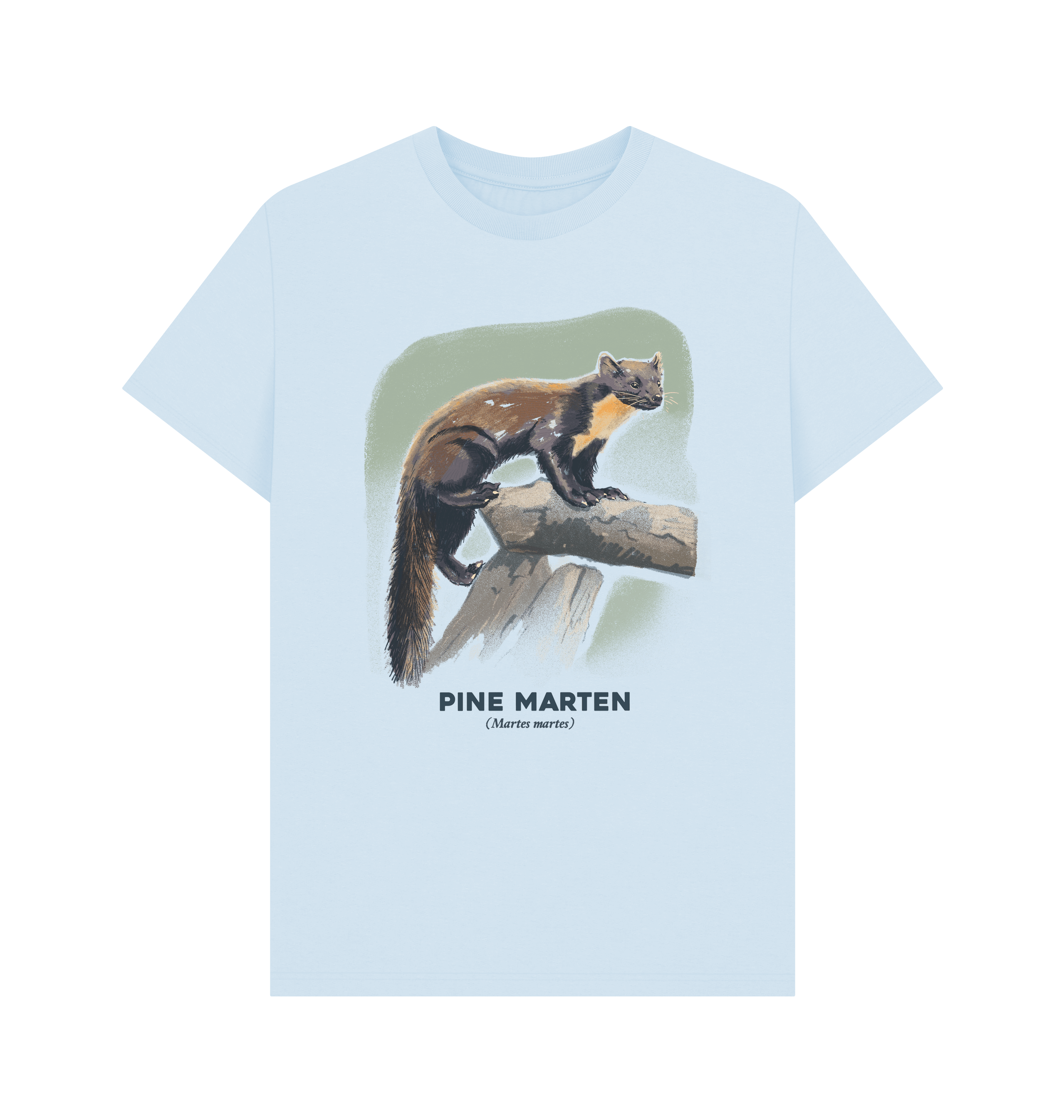 Sky Blue Printed T-shirt Front