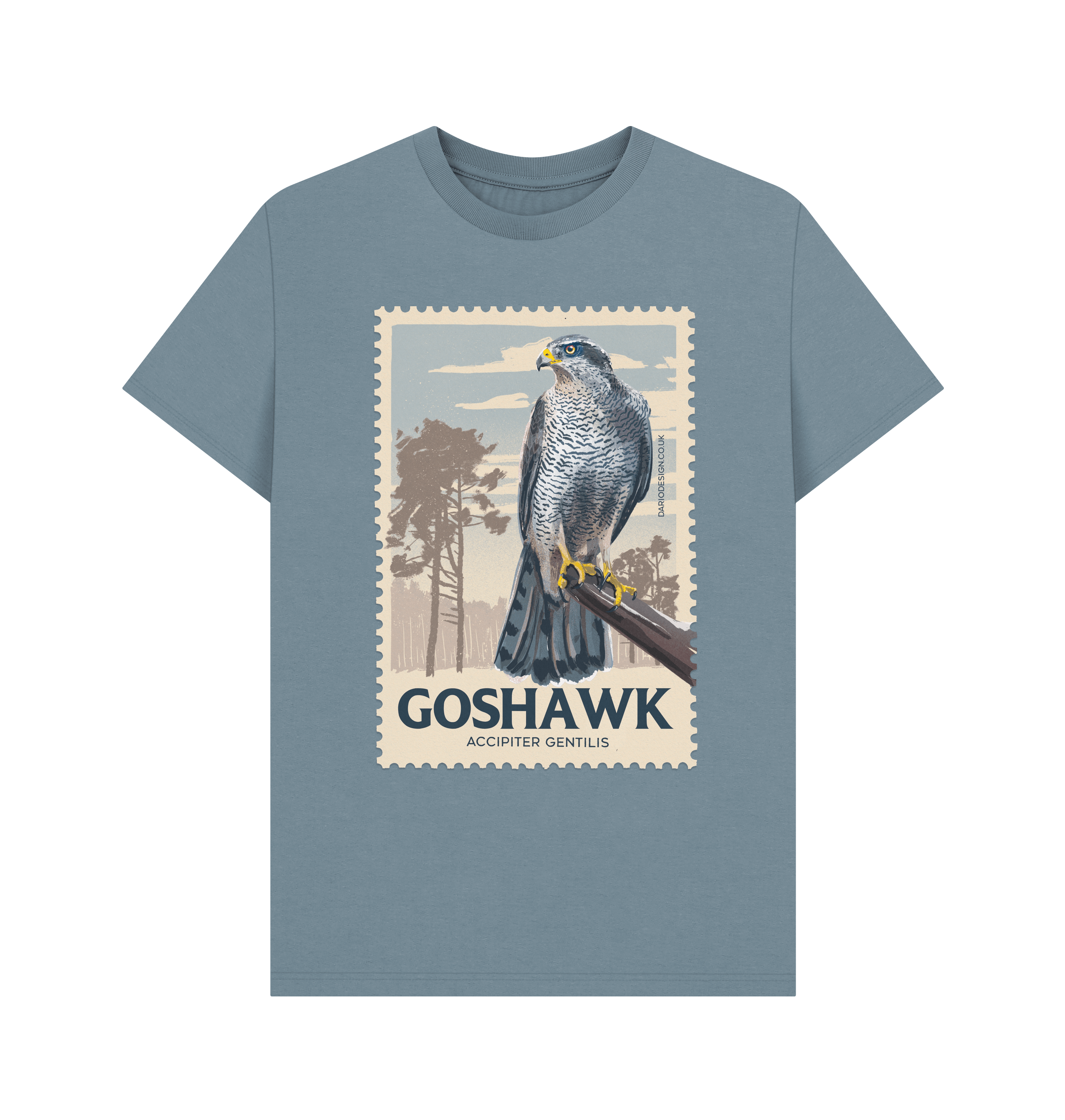Stone Blue Printed T-shirt Front