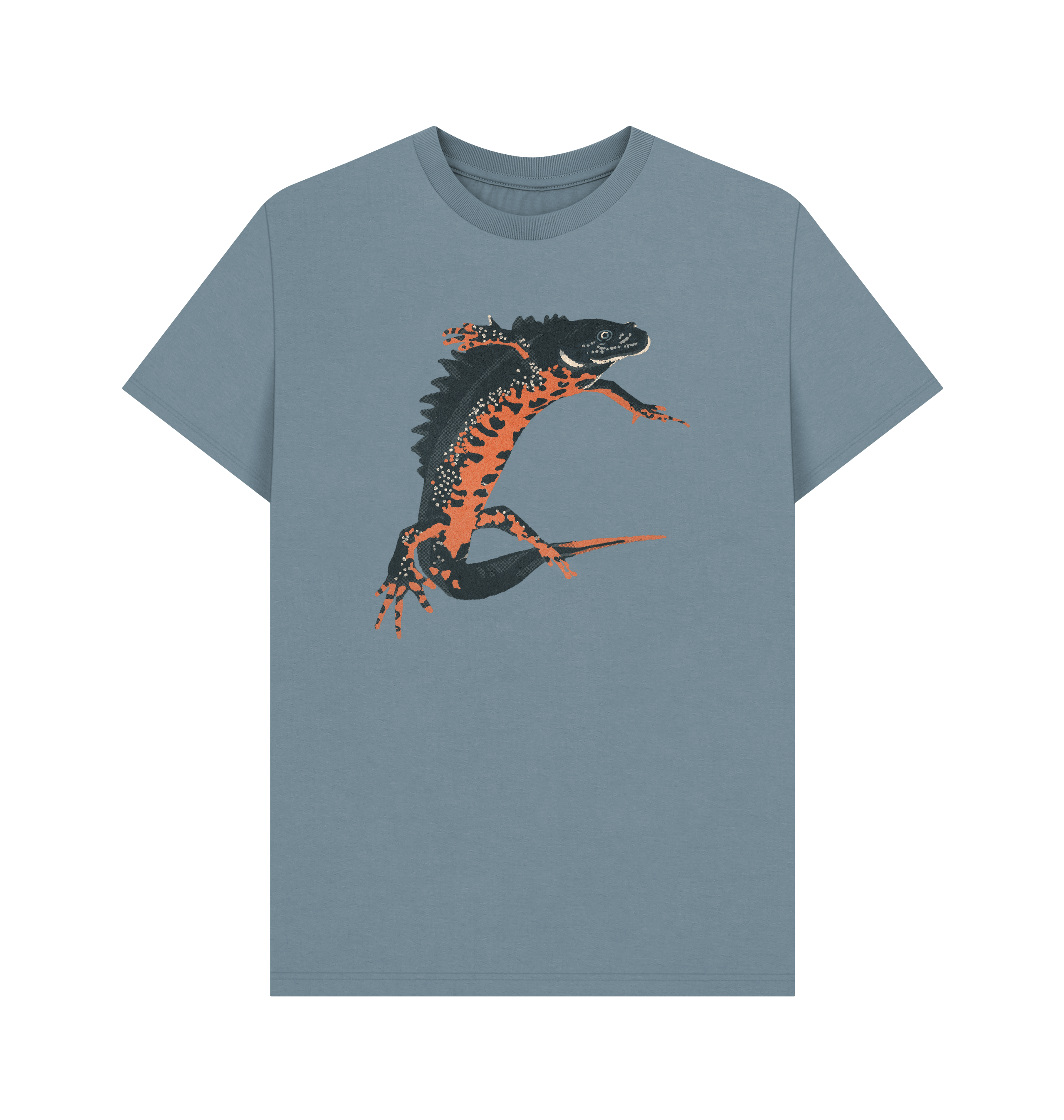 Stone Blue Printed T-shirt Front