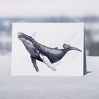 Whales - 6 x Greetings cards