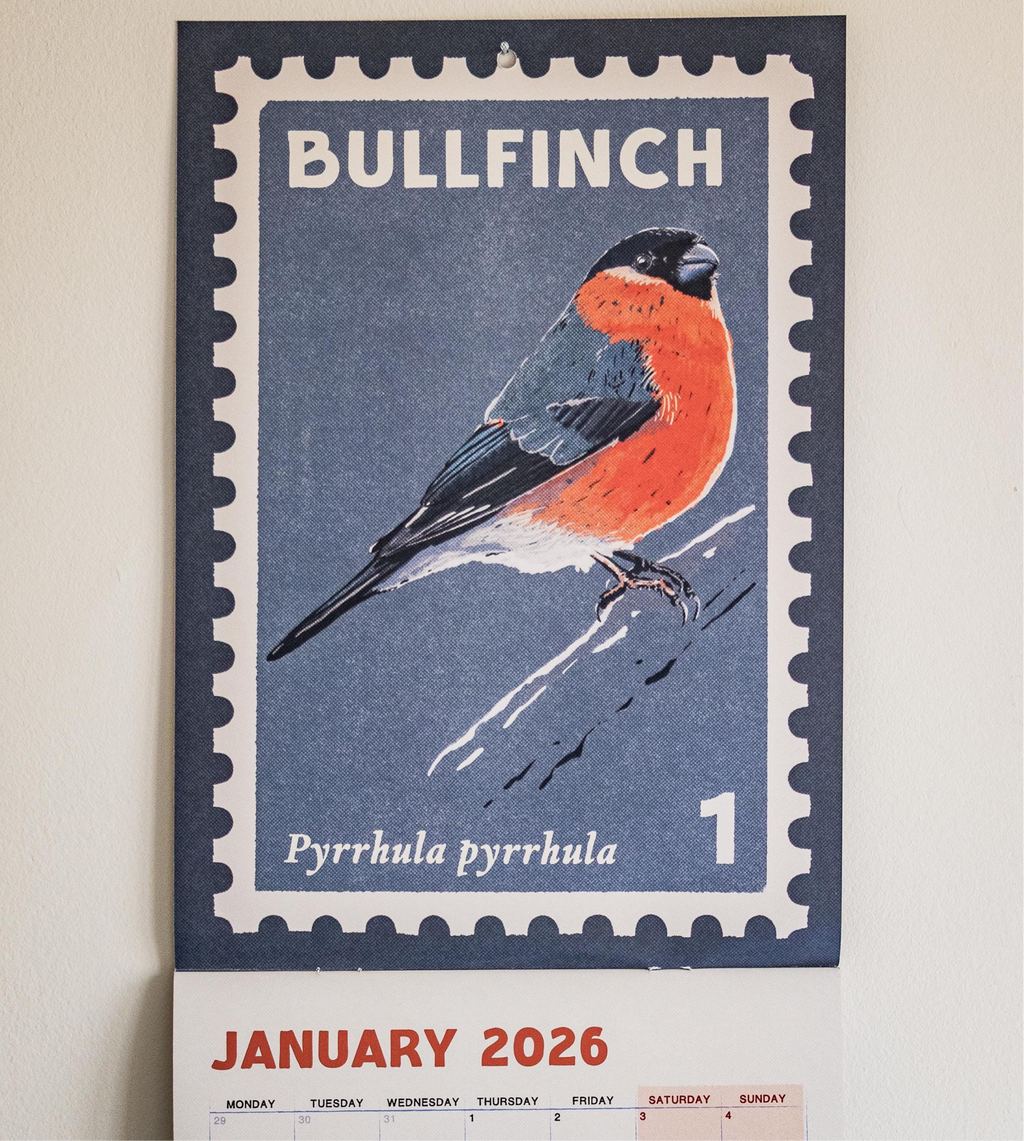 Songbirds - 2026 retro illustrated calendar