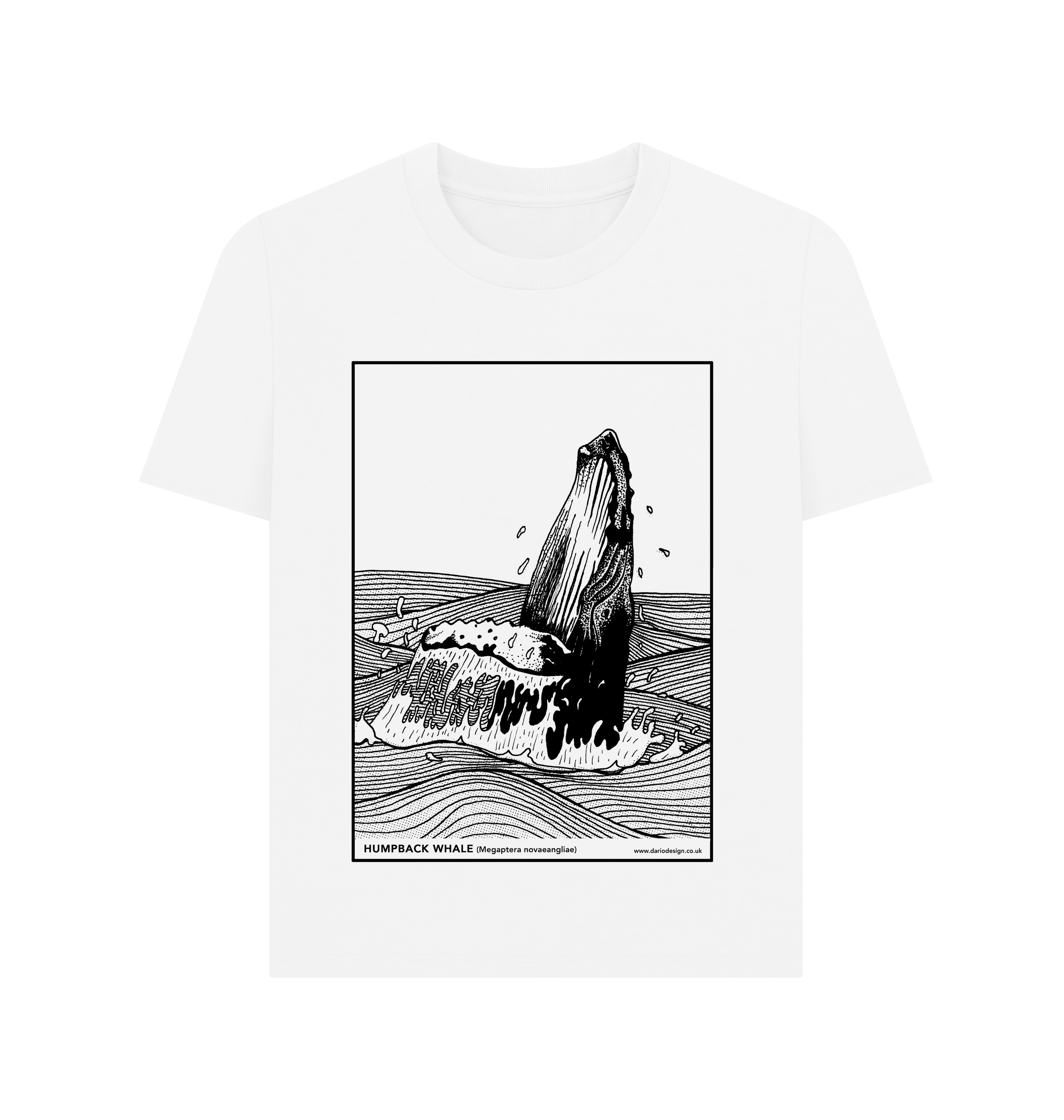 White Printed T-shirt Front