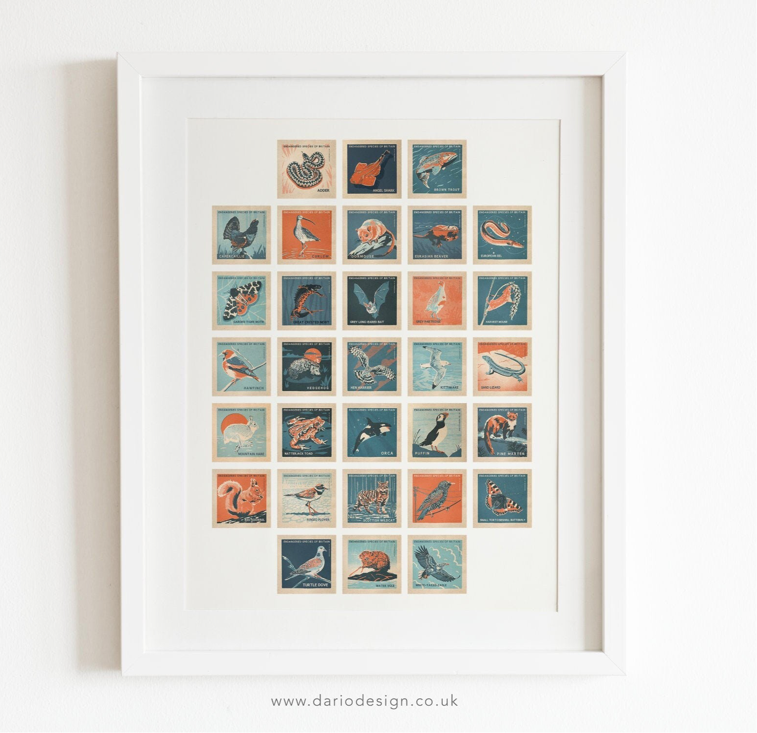 UK Endangered Species retro illustrated print