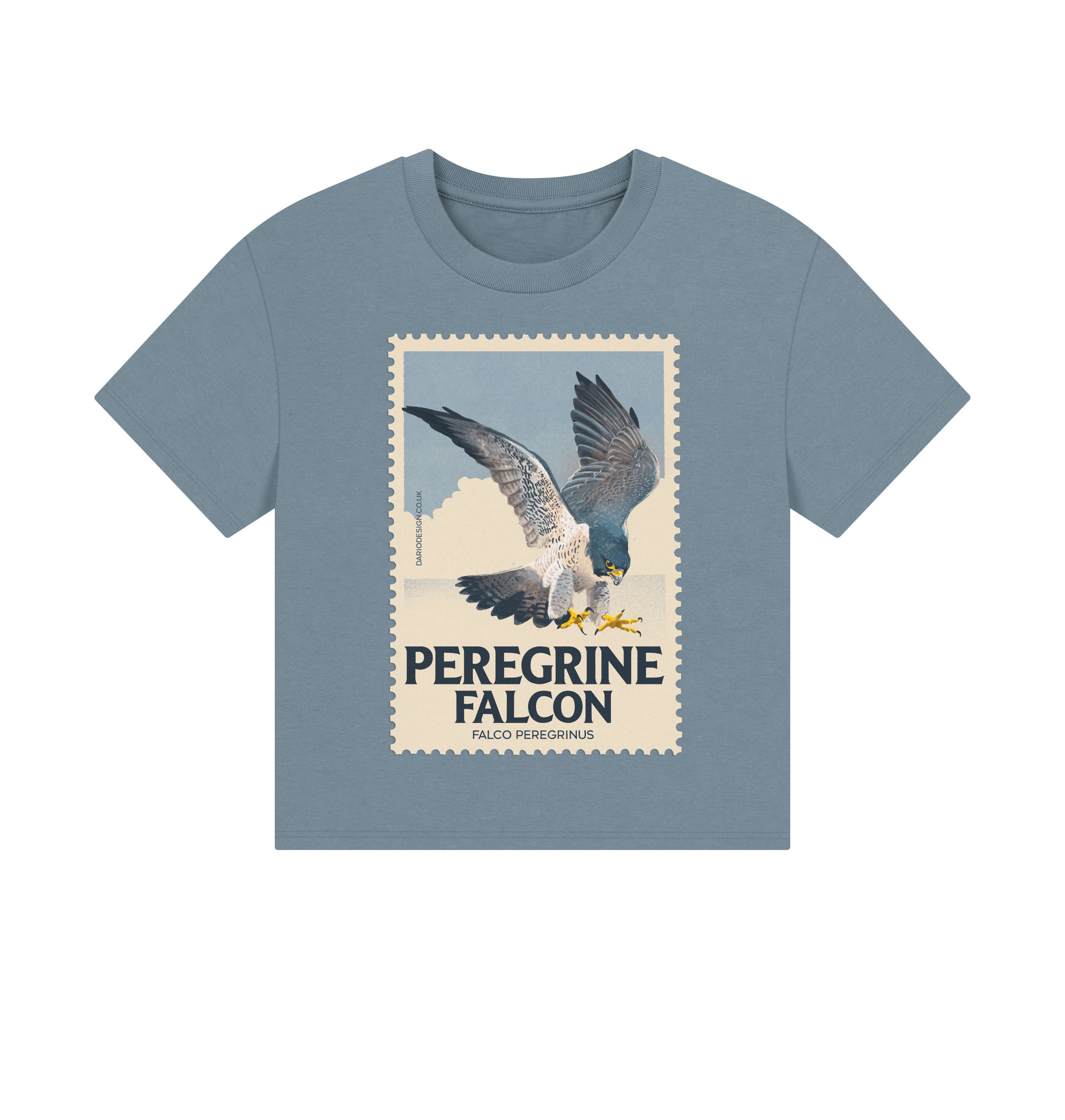Stone Blue Printed T-shirt Front