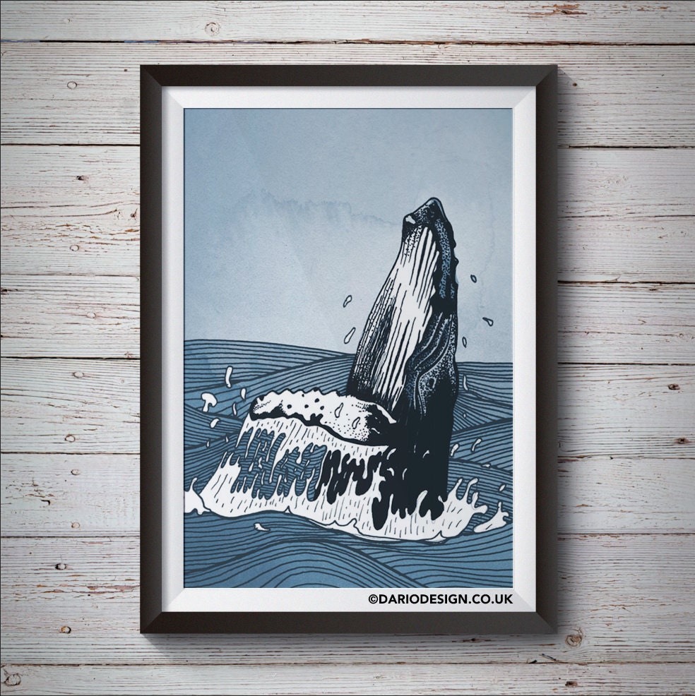 Humpback Whale breaching print