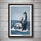 Humpback Whale breaching print