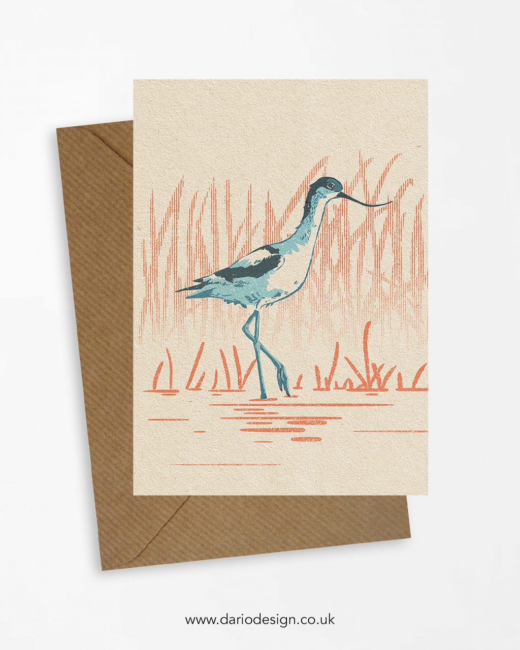Avocet - A6 Greeting Card