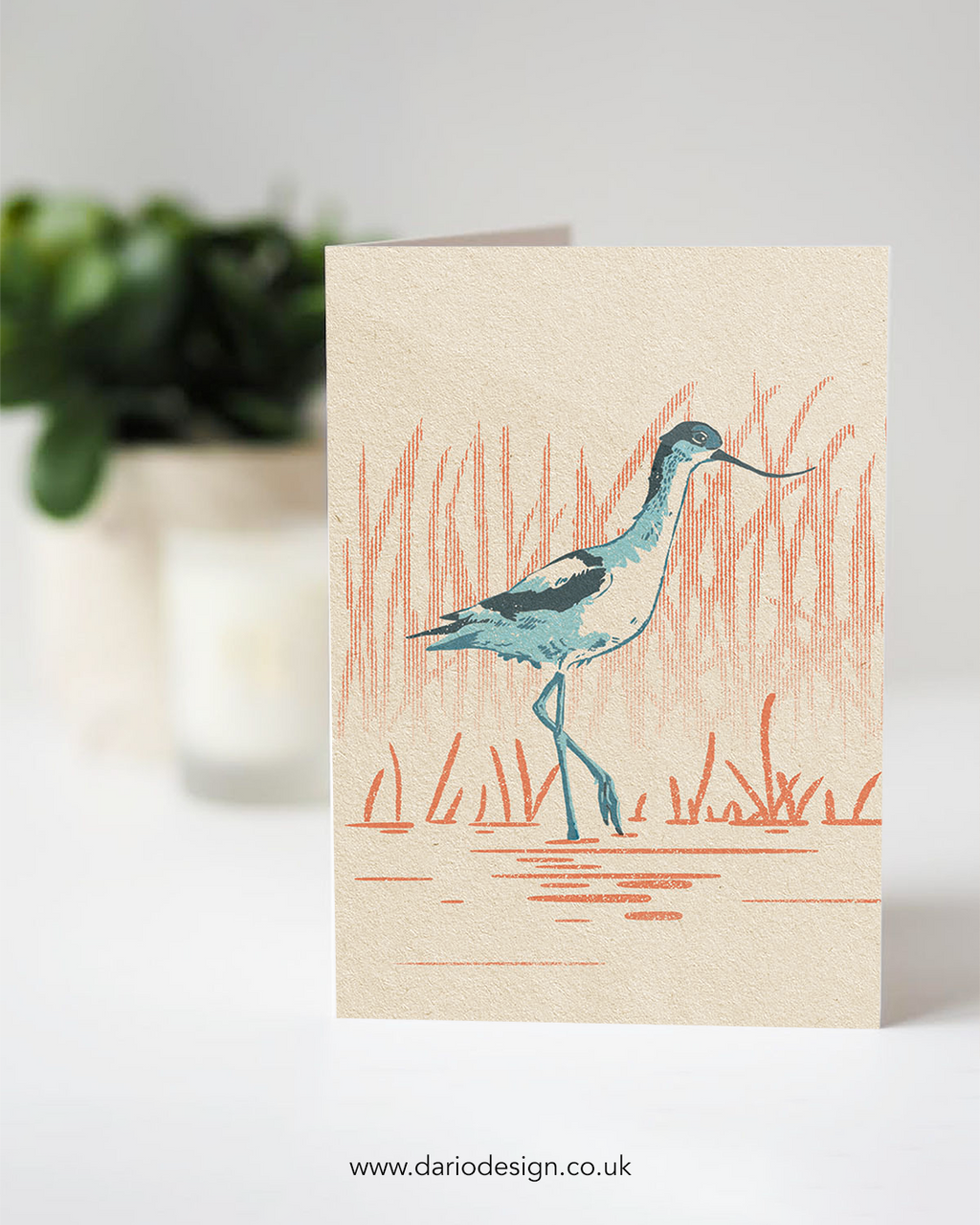 Avocet - A6 Greeting Card