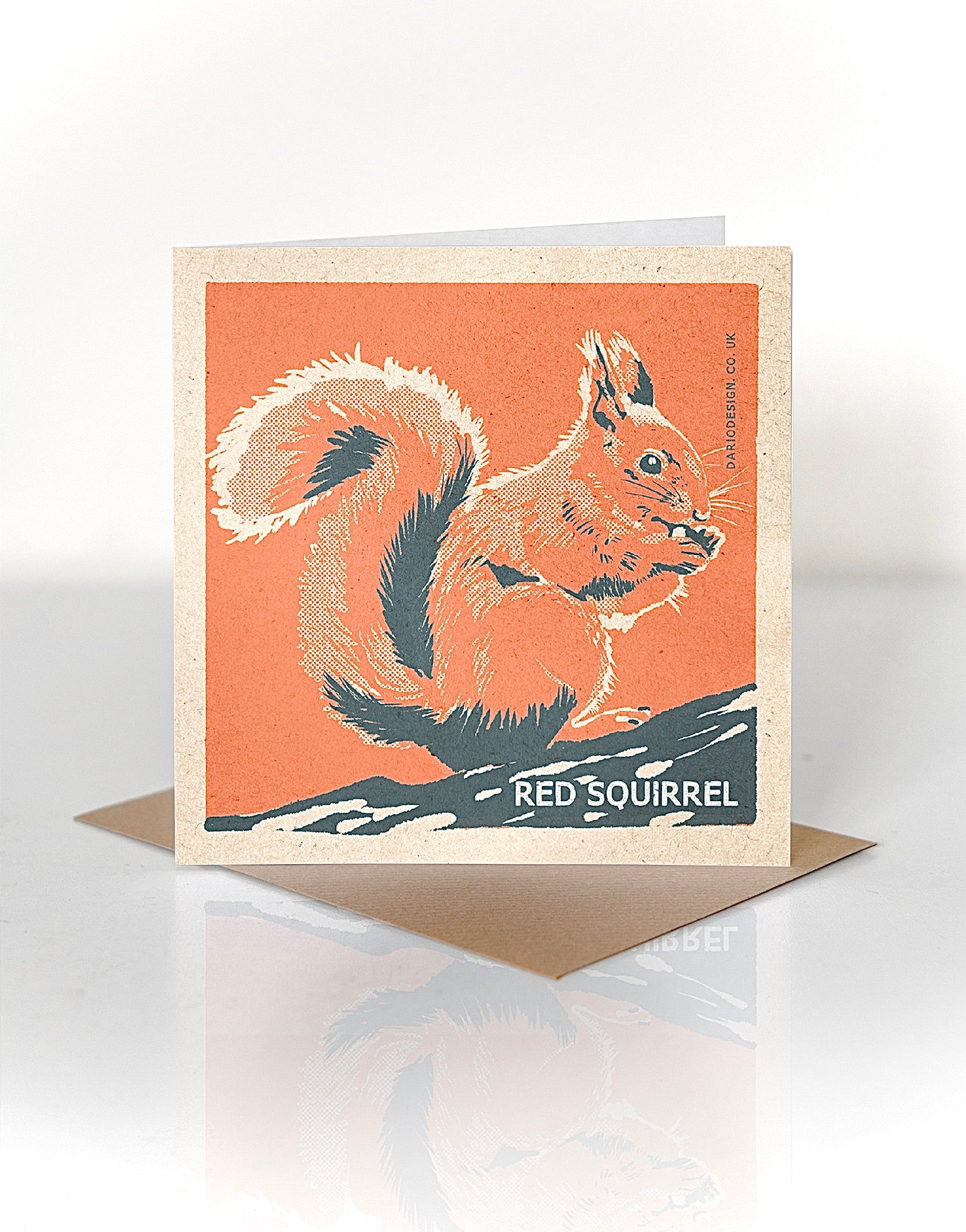 Red Squirrel greeting card