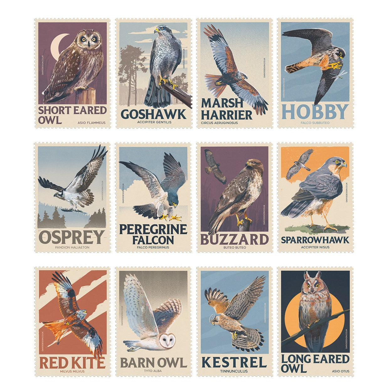 Birds of Prey - 2027 retro illustrated calendar