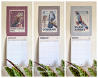 NEW! Birds of Prey - 2027 illustrated calendar