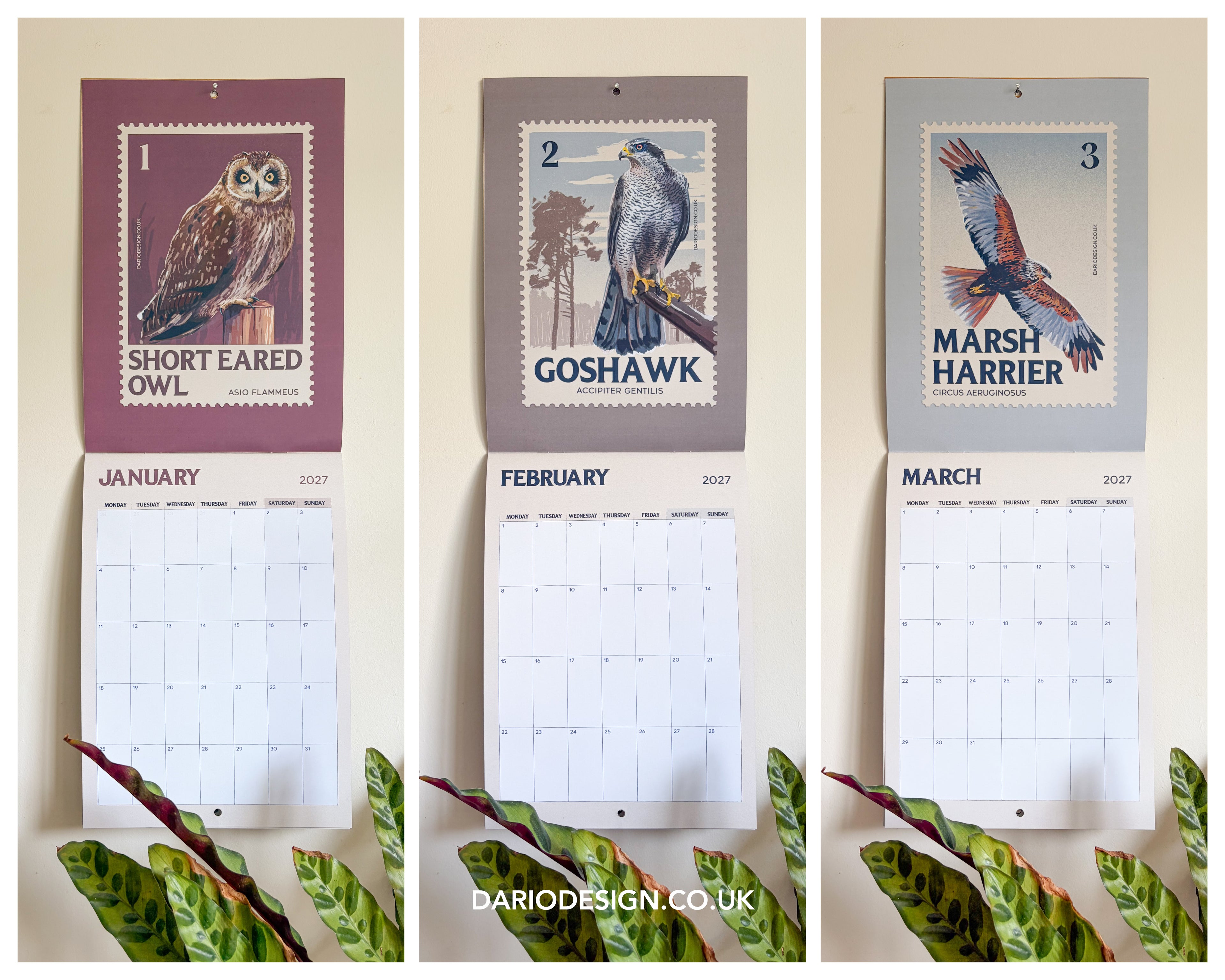 NEW! Birds of Prey - 2027 illustrated calendar