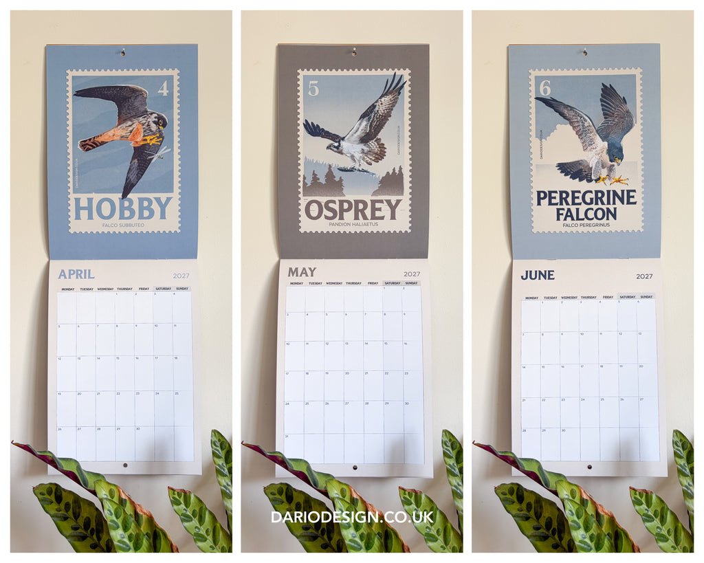 NEW! Birds of Prey - 2027 illustrated calendar