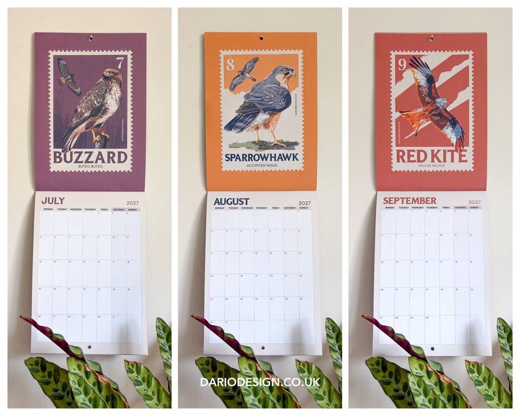 NEW! Birds of Prey - 2027 illustrated calendar