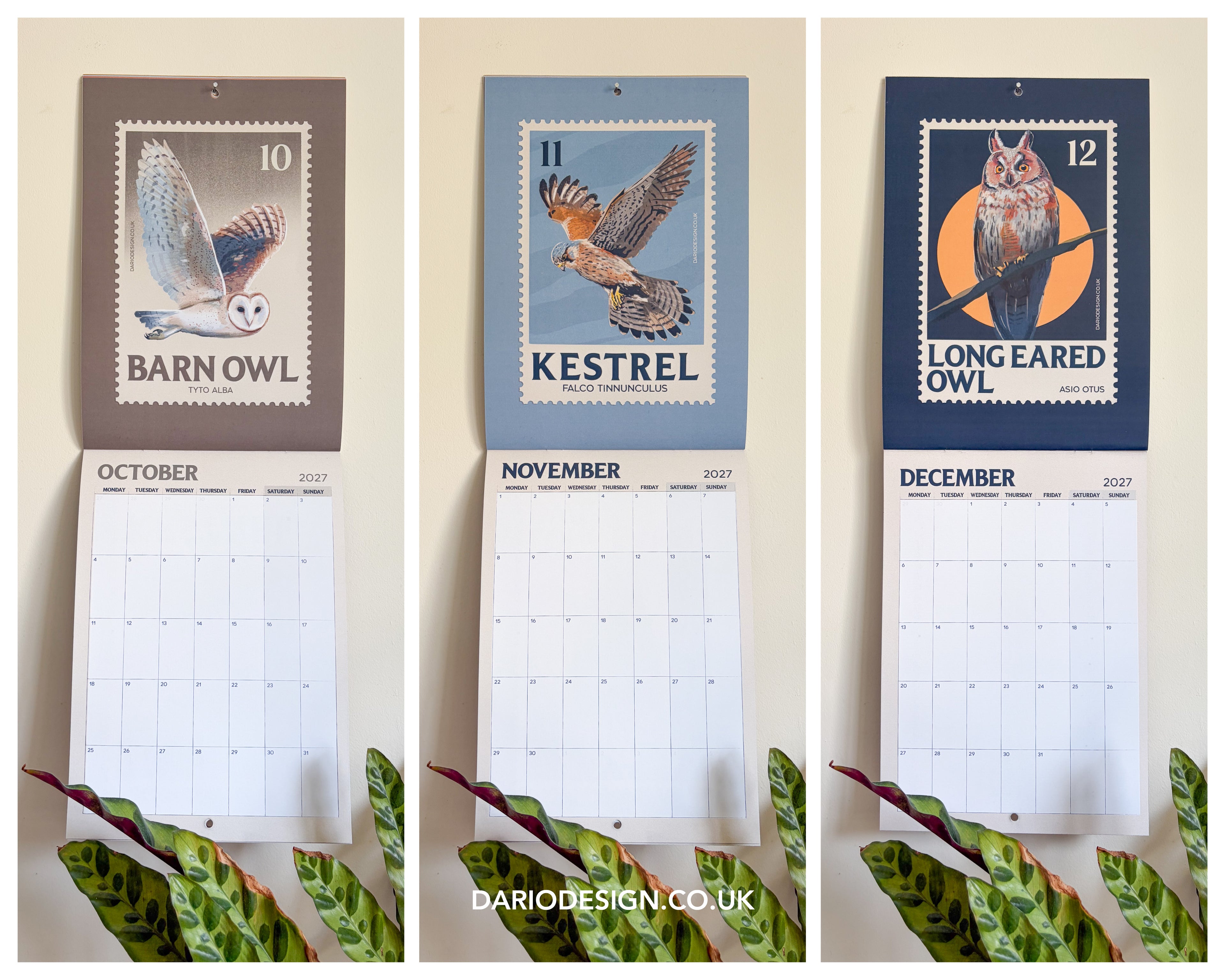 NEW! Birds of Prey - 2027 illustrated calendar