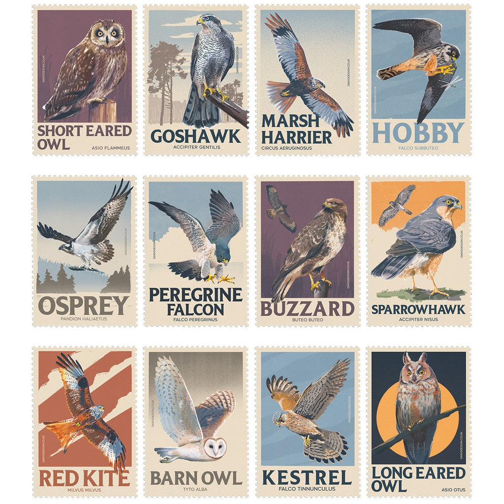 NEW! Birds of Prey - 2027 retro illustrated calendar