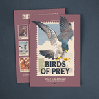 NEW! Birds of Prey - 2027 retro illustrated calendar
