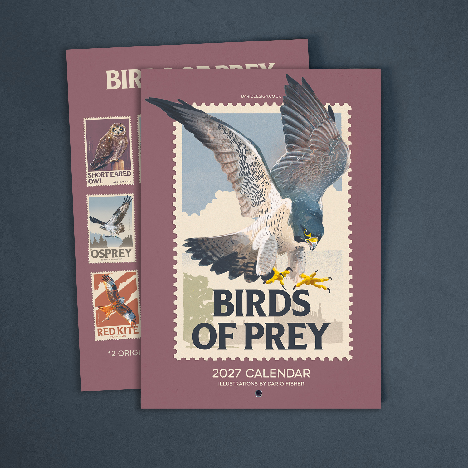 NEW! Birds of Prey - 2027 retro illustrated calendar