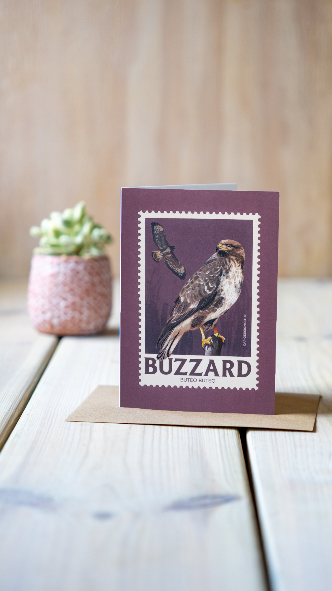 Buzzard - A6 Greeting Card