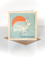 Mountain Hare greeting card