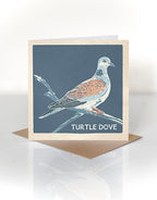 Turtle Dove greeting card
