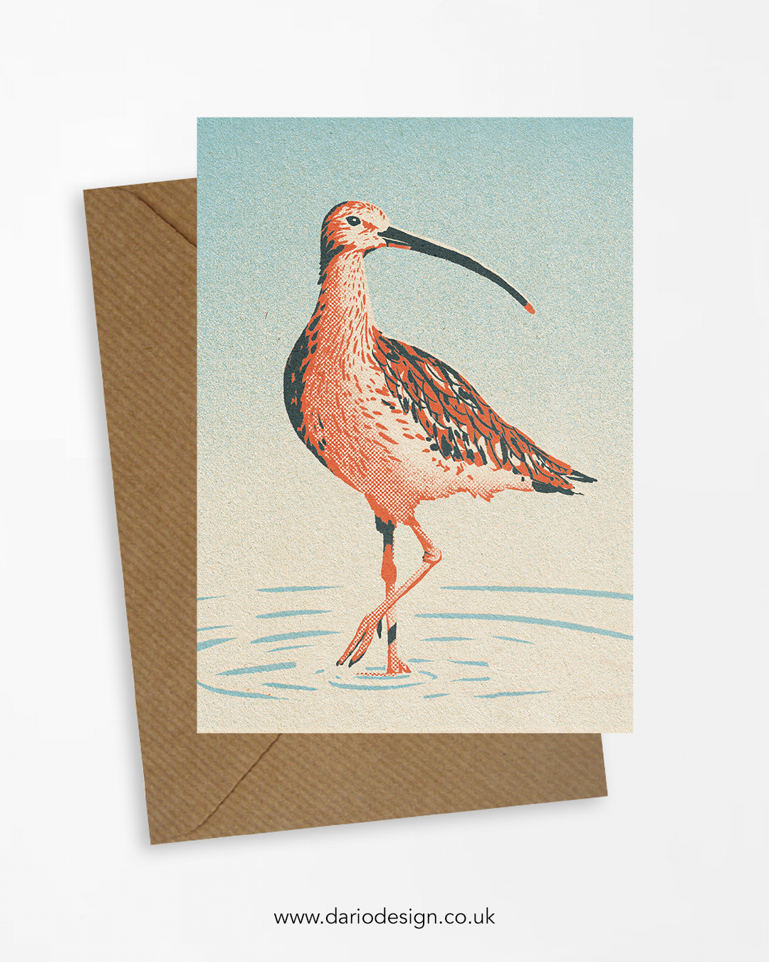 Curlew - A6 Greeting Card