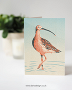 Curlew - A6 Greeting Card