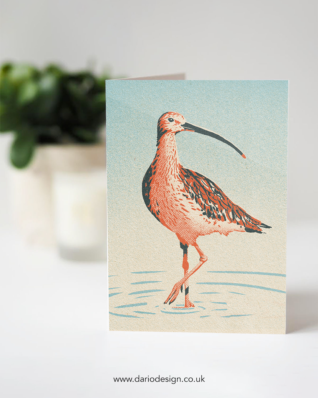 Curlew - A6 Greeting Card