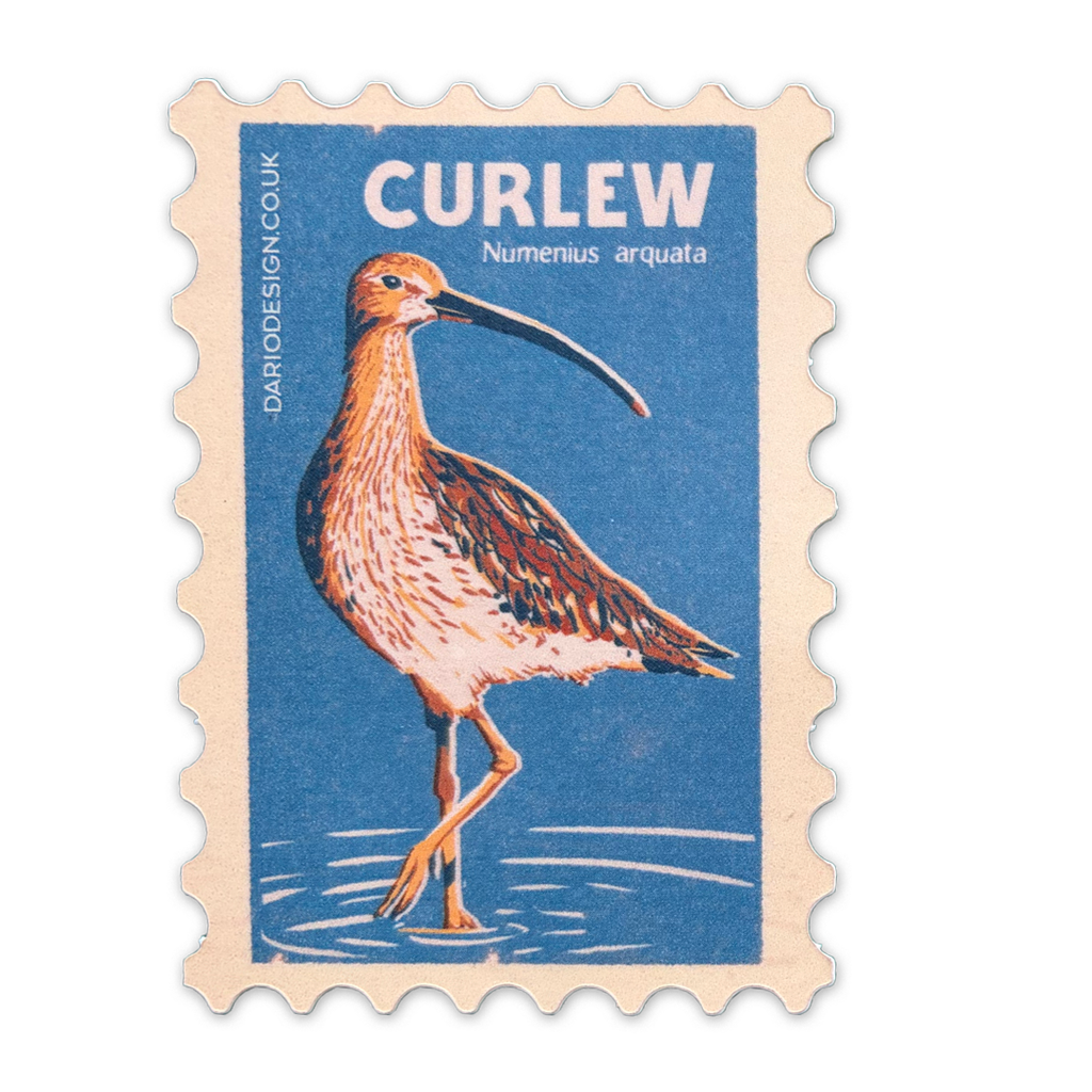 Curlew vinyl sticker