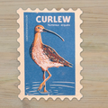 Curlew vinyl sticker