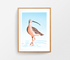 Curlew Print