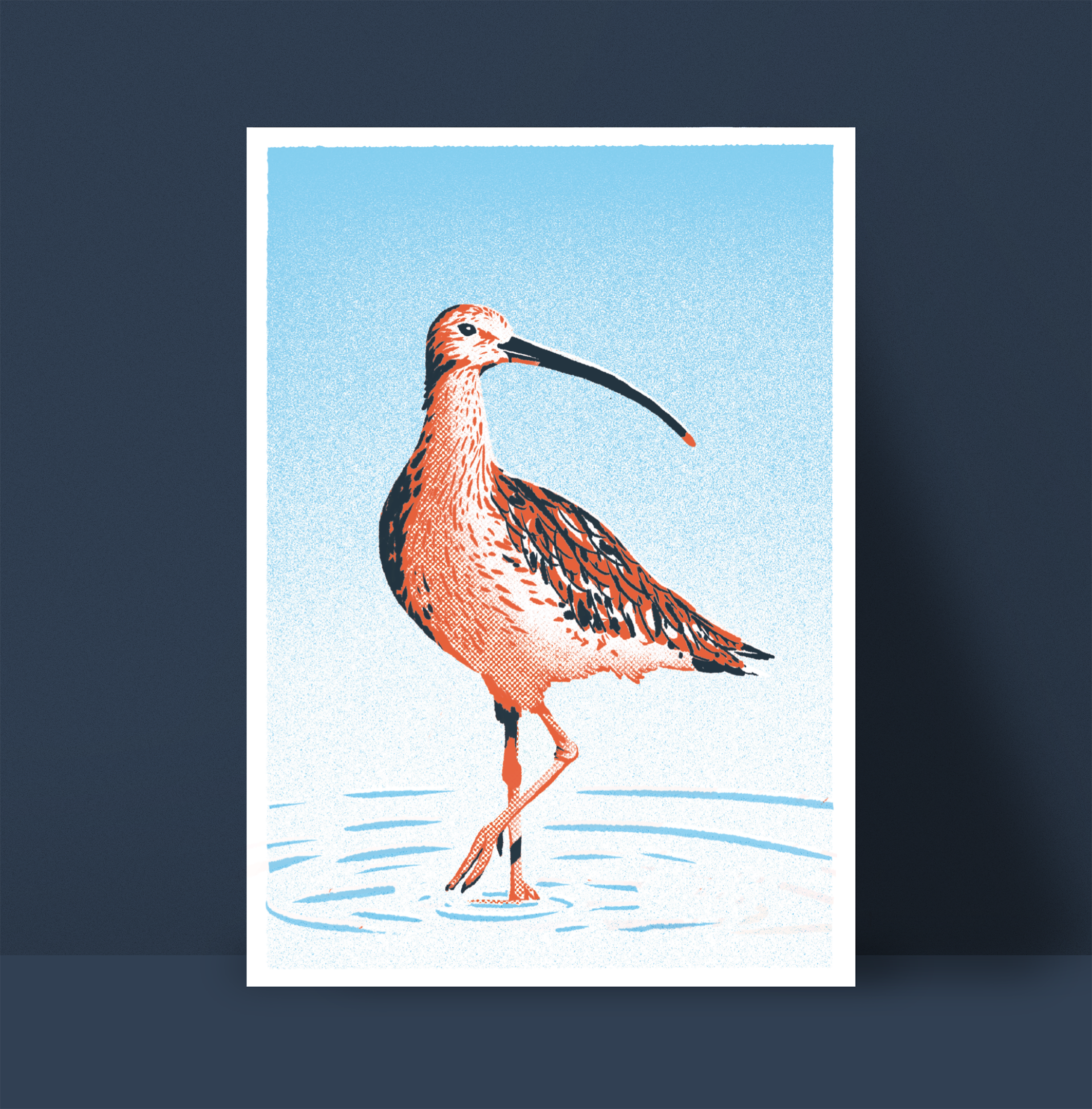 Curlew Print