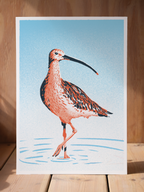Curlew Print