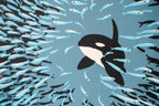 Orca Herring Ball - Limited Edition Screen Print
