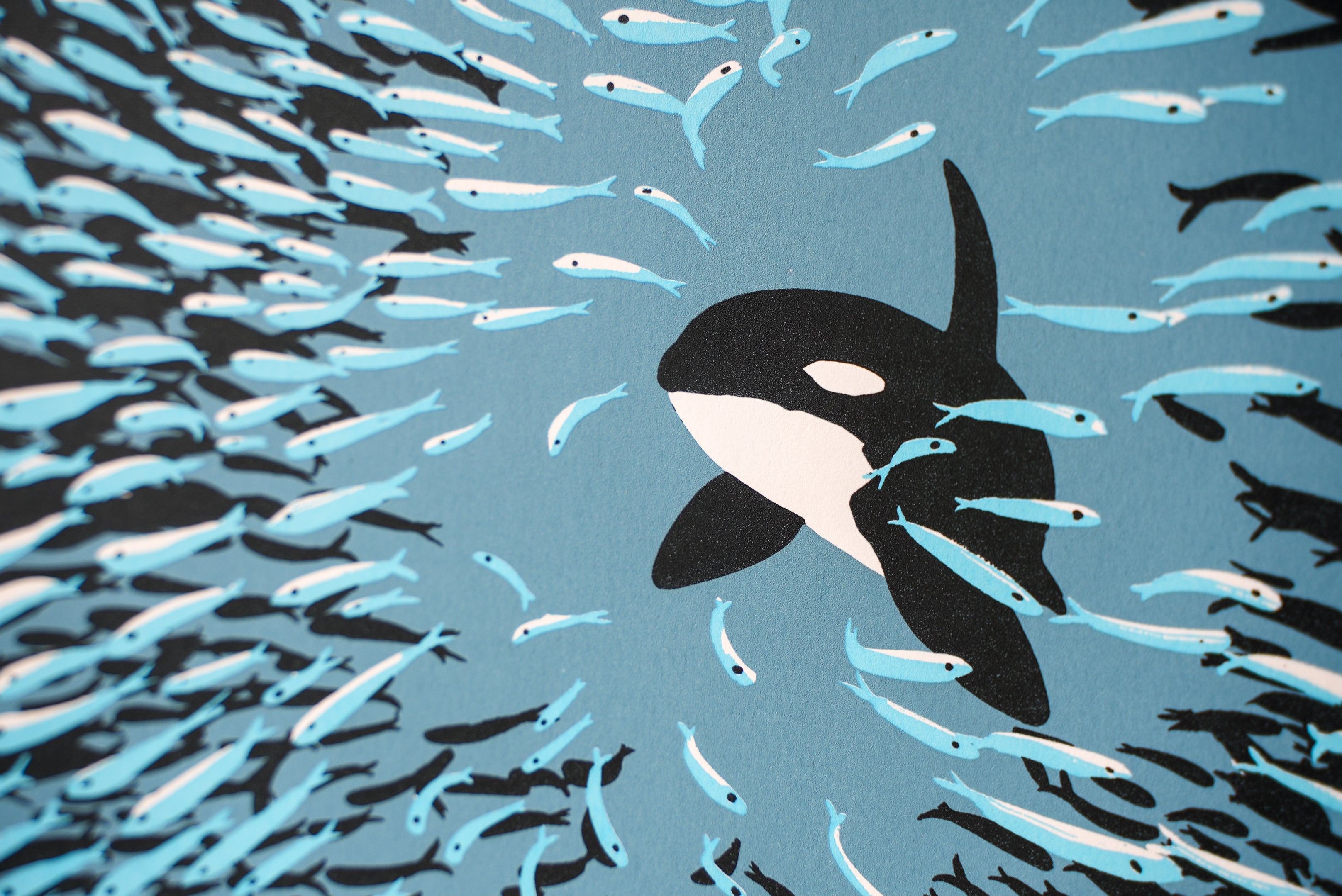 Orca Herring Ball - Limited Edition Screen Print