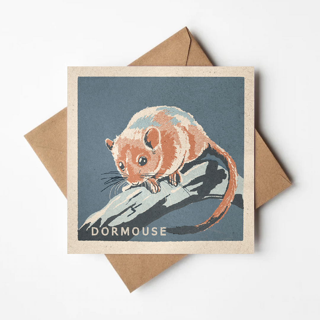 Dormouse greeting card