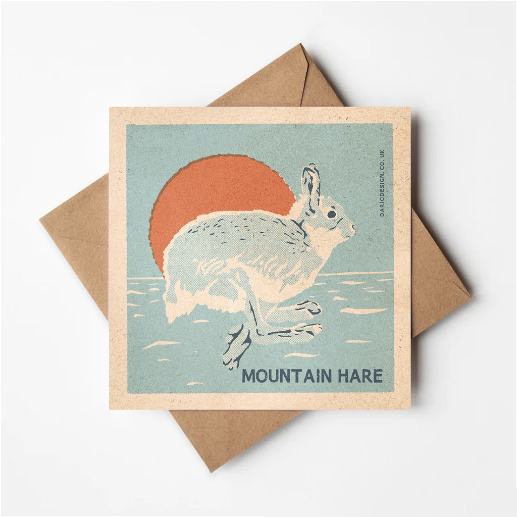 Mountain Hare greeting card