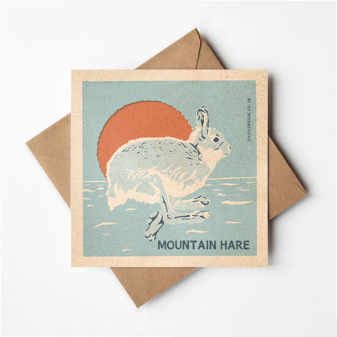 Mountain Hare greeting card