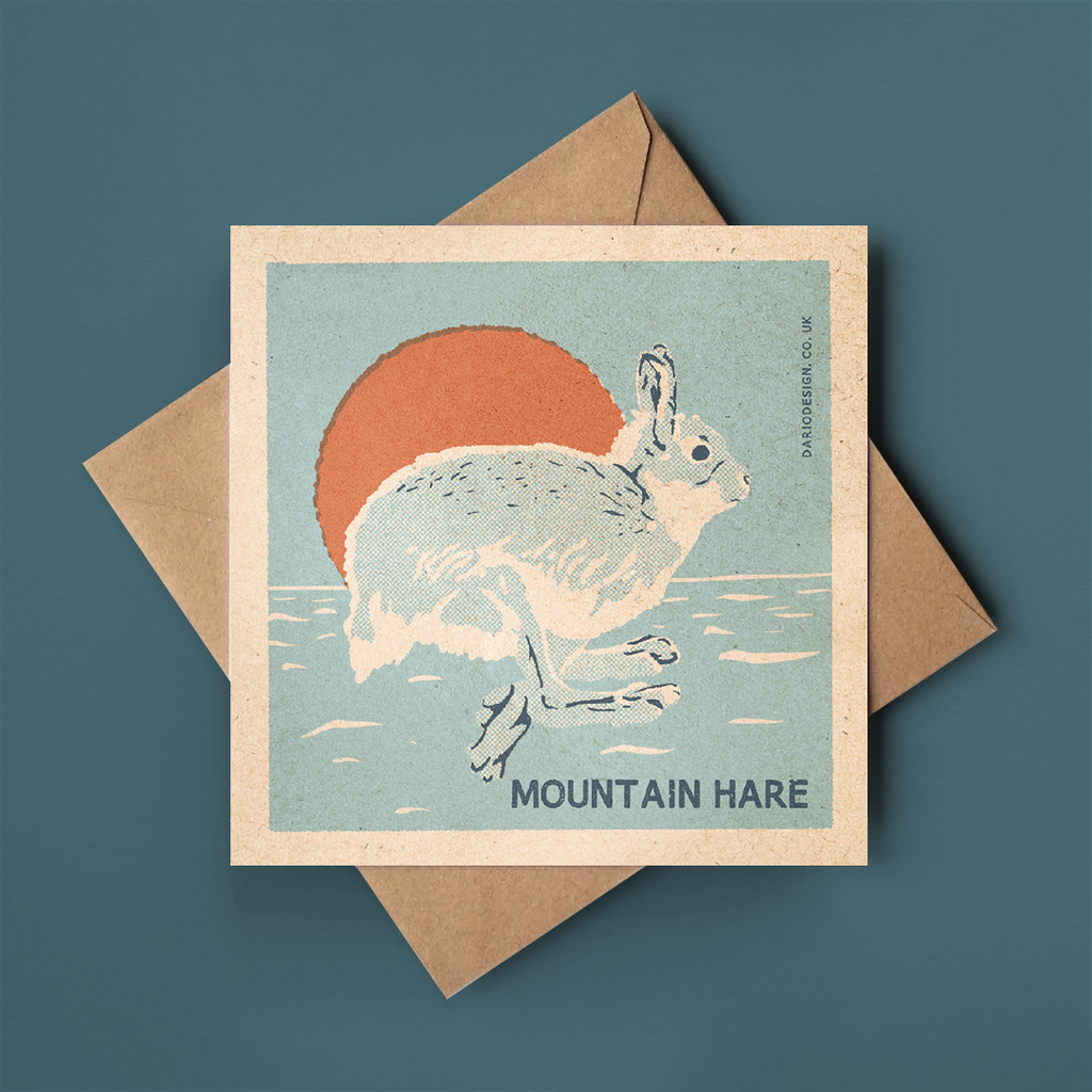 Mountain Hare greeting card